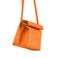 Clementine Lunch Bag