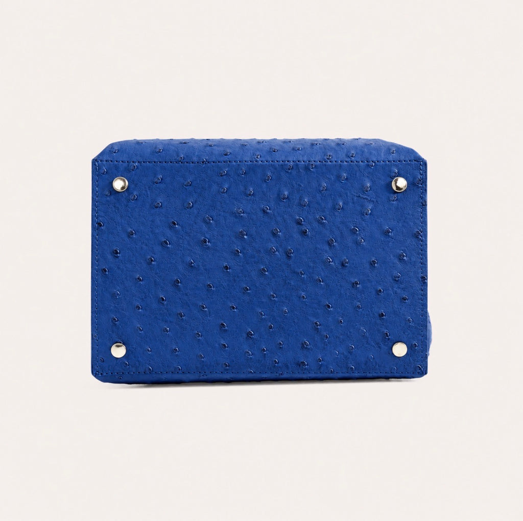 “La Pequeña” Mini Blueberry Lunch Bag