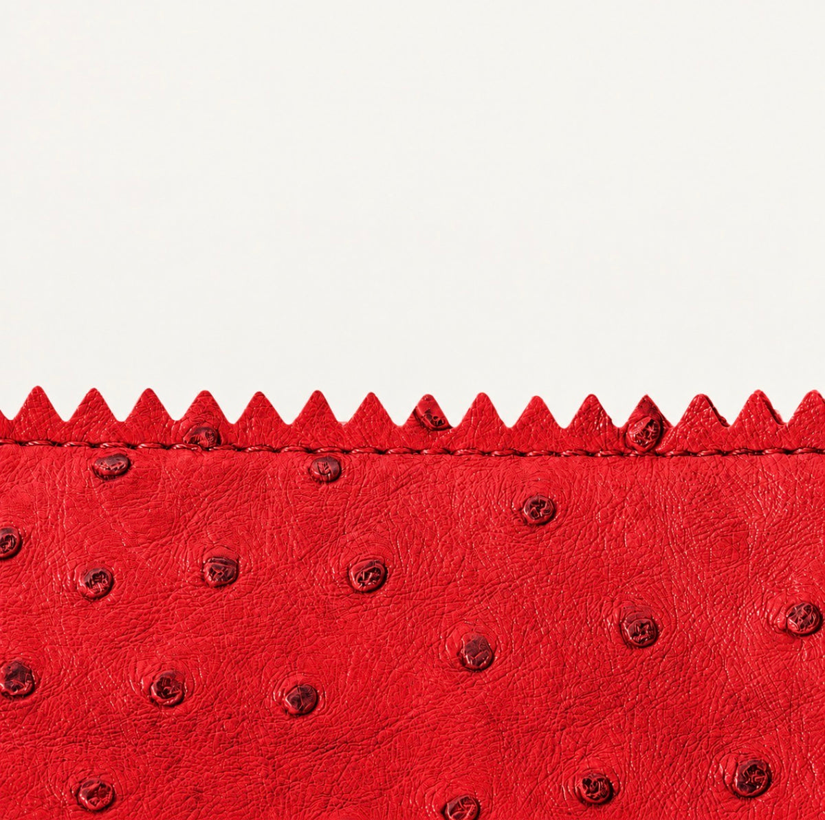 Strawberry Lunch Bag
