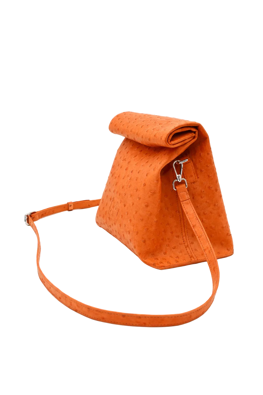 Clementine Lunch Bag