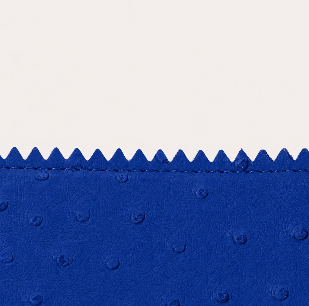 “La Pequeña” Mini Blueberry Lunch Bag