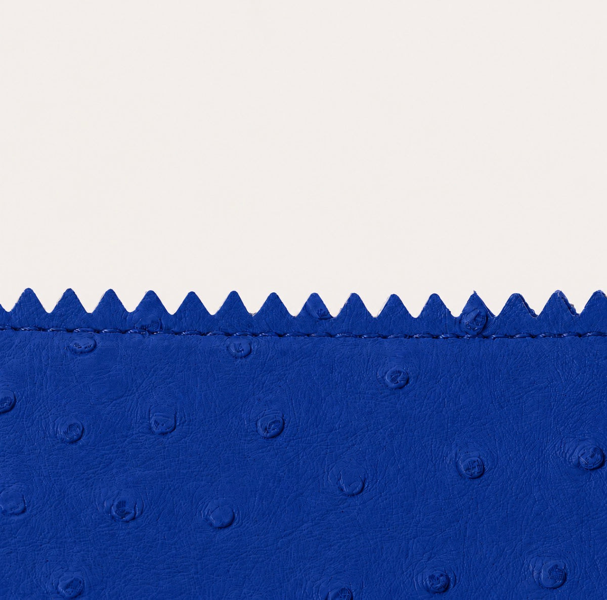 “La Pequeña” Mini Blueberry Lunch Bag