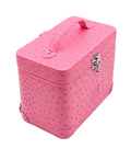 Rosado Mini Trunk