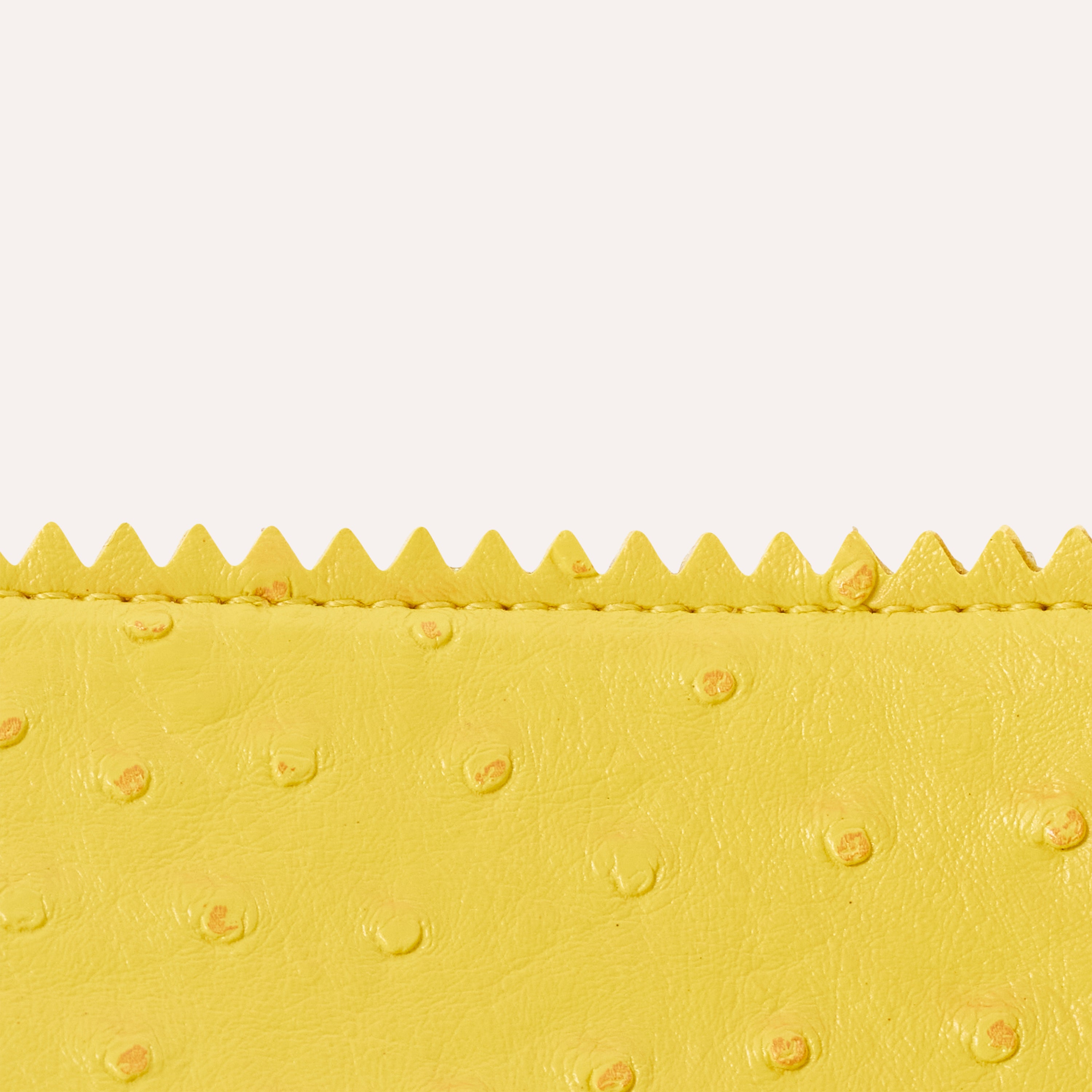 "La Pequena" Mini Lemons Lunch Bag